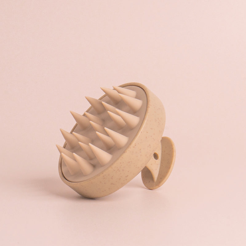 BROSSE MASSANTE