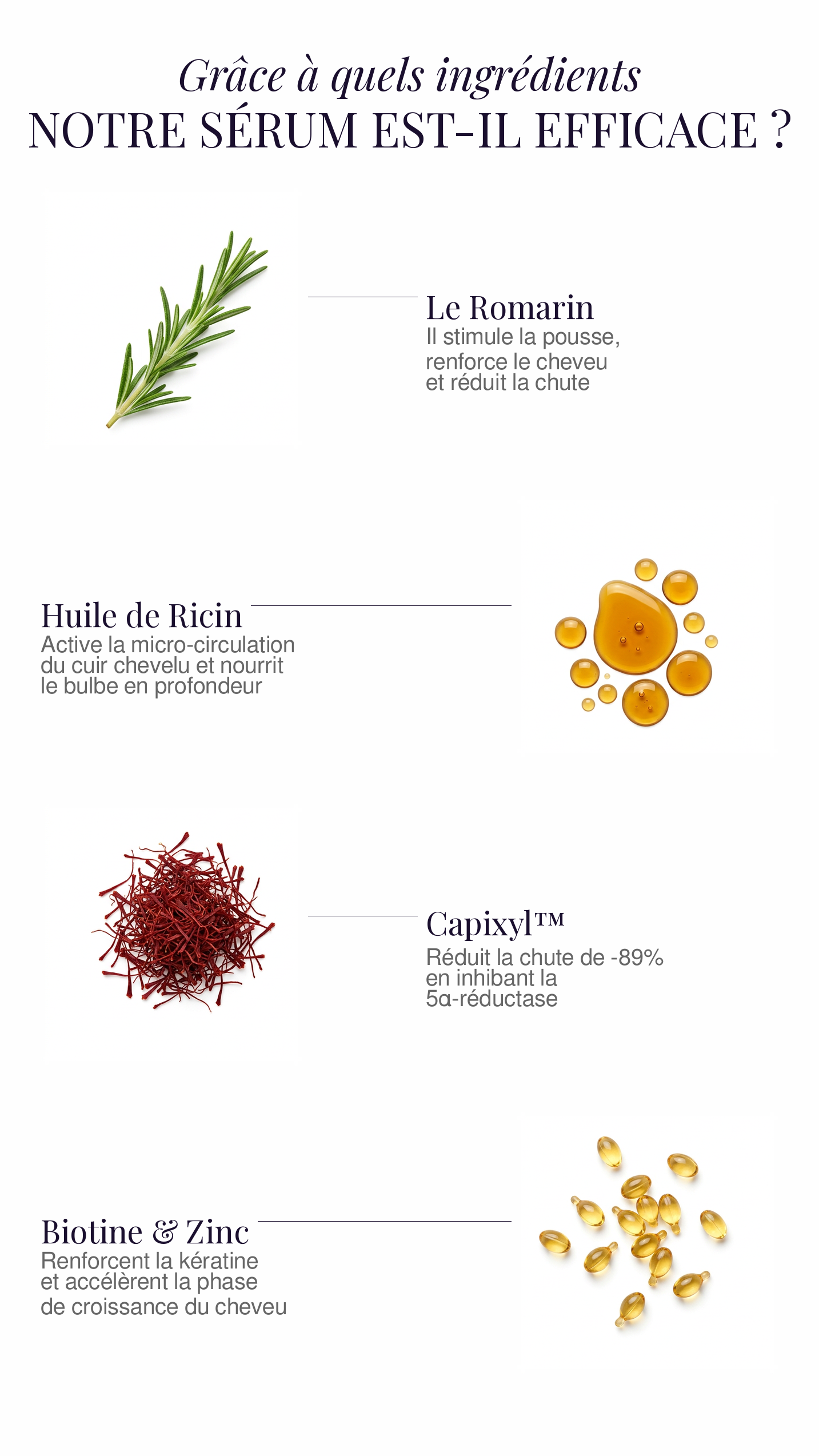 Ingrédients du Sérum de Pousse — Romarin, Huile de Ricin, Capixyl, Biotine & Zinc